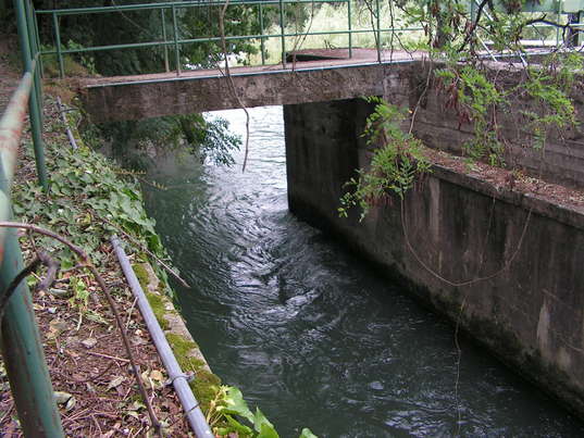 Ciclo dell'acqua - Analisi dell'ecosistema acquatico