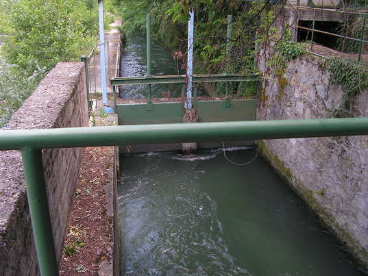 Ciclo dell'acqua - Osservazione microscopica