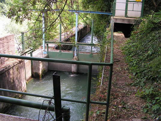 Ciclo dell'acqua - Studio della flora acquatica