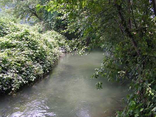 Ciclo dell'acqua - Conclusioni del percorso