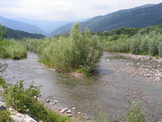 Bosco e torrente - Il torrente