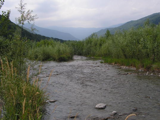 Bosco e torrente - Il torrente
