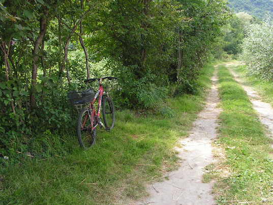 Bosco e torrente - Percorsi nel bosco