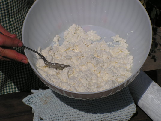 Laboratorio formaggio - Degustazione guidata