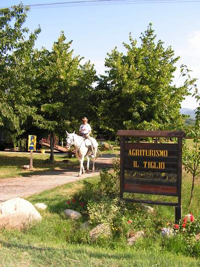 Strutture sportive - Equitazione